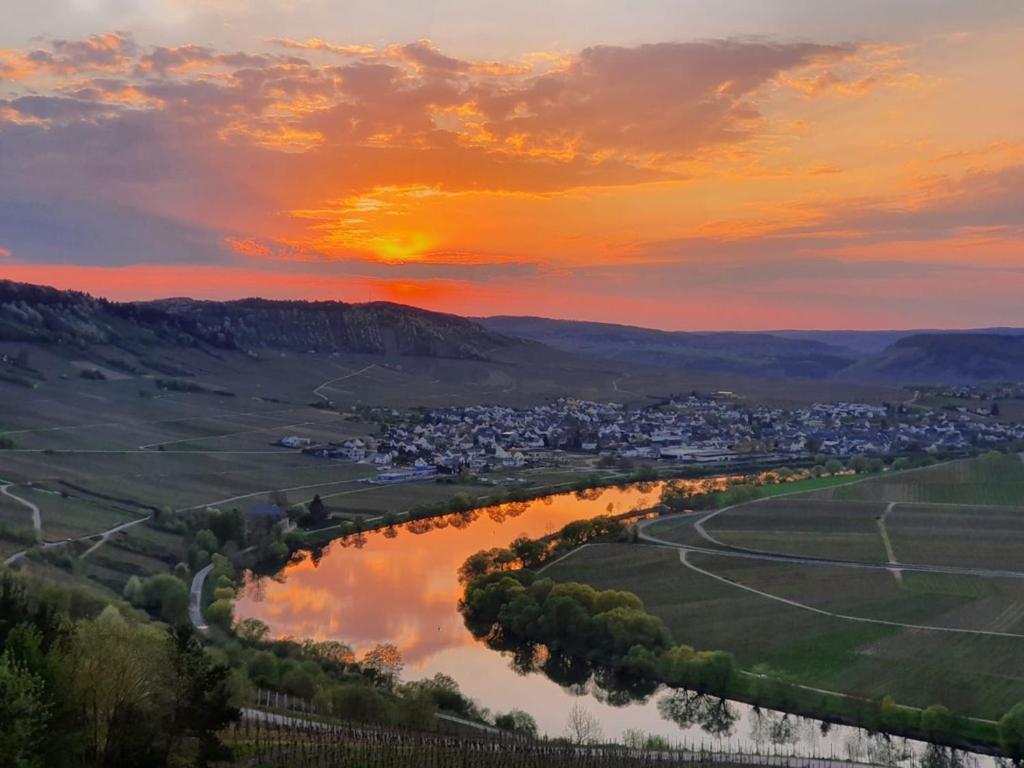 Hotel Herres Alte Metzgerei Leiwen Zewnętrze zdjęcie