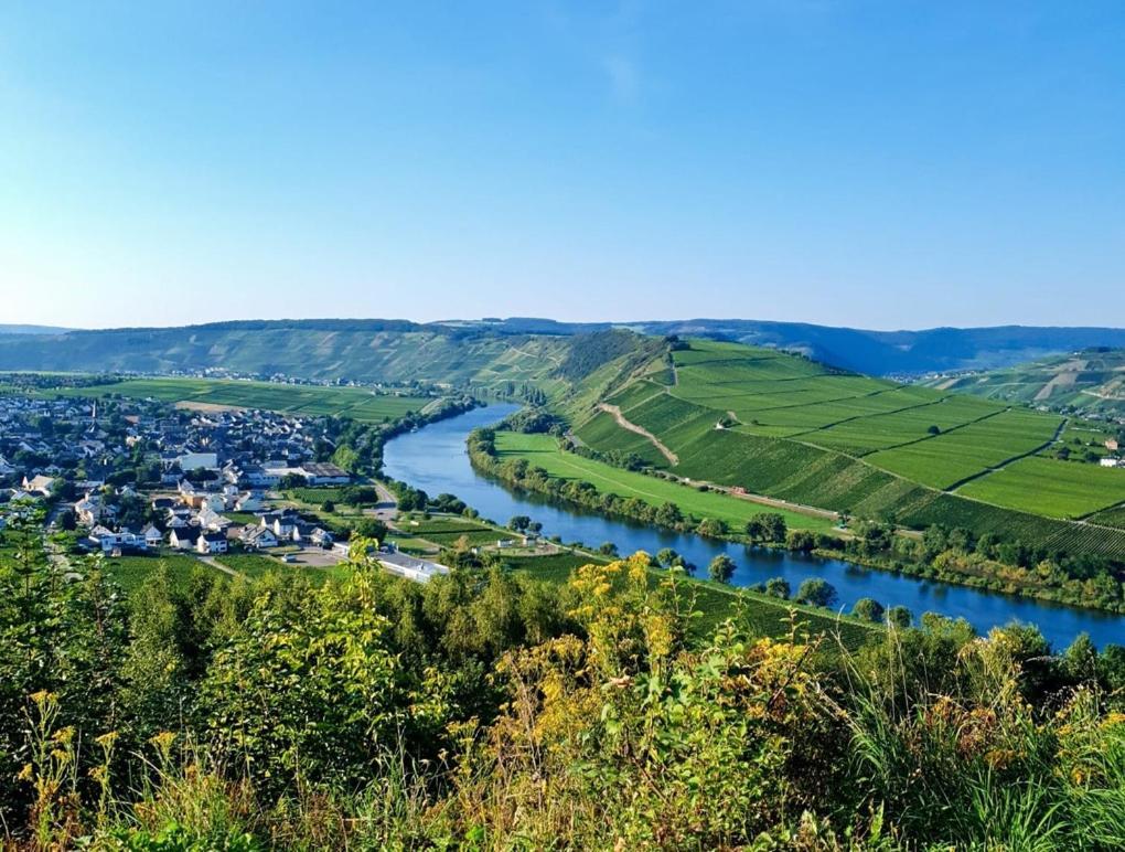 Hotel Herres Alte Metzgerei Leiwen Zewnętrze zdjęcie